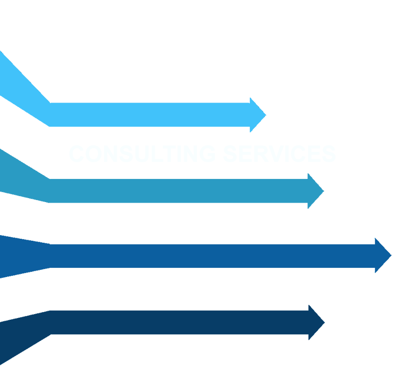 consulting service